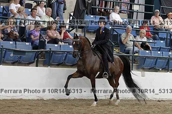 Proof Number 10r14_5313