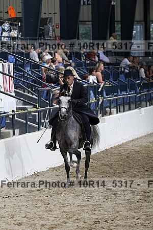 Proof Number 10r14_5317