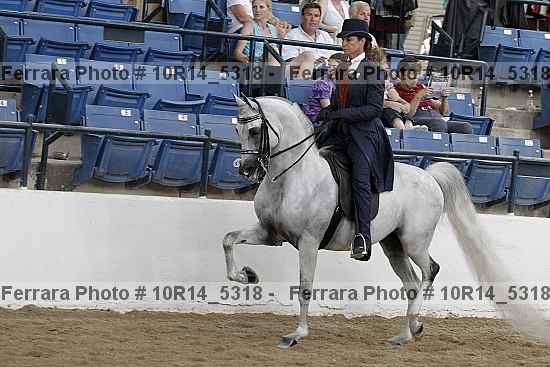 Proof Number 10r14_5318