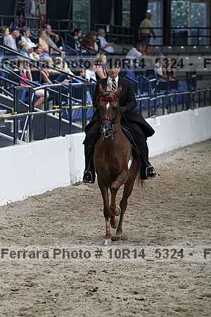 Proof Number 10r14_5324