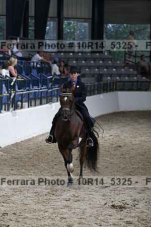 Proof Number 10r14_5325