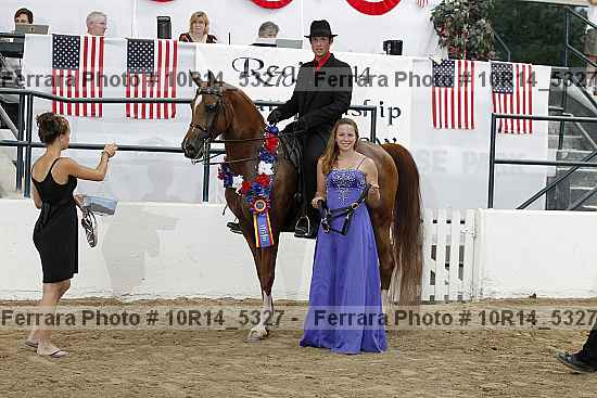 Proof Number 10r14_5327