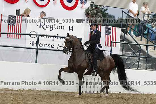 Proof Number 10r14_5335
