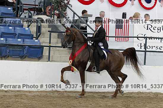 Proof Number 10r14_5337