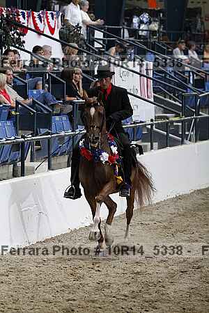 Proof Number 10r14_5338