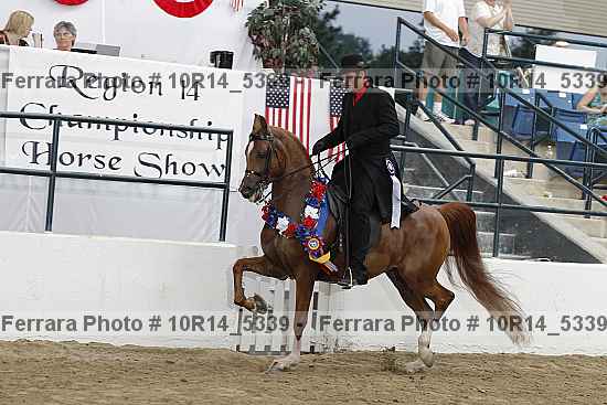Proof Number 10r14_5339