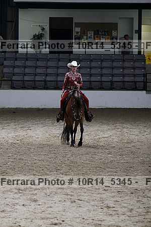 Proof Number 10r14_5345