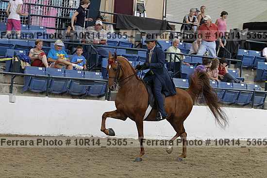 Proof Number 10r14_5365