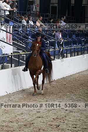 Proof Number 10r14_5368