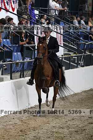 Proof Number 10r14_5369