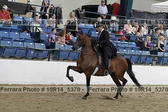 Proof Number 10r14_5370