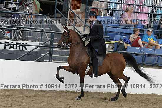 Proof Number 10r14_5372