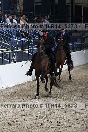 Proof Number 10r14_5373