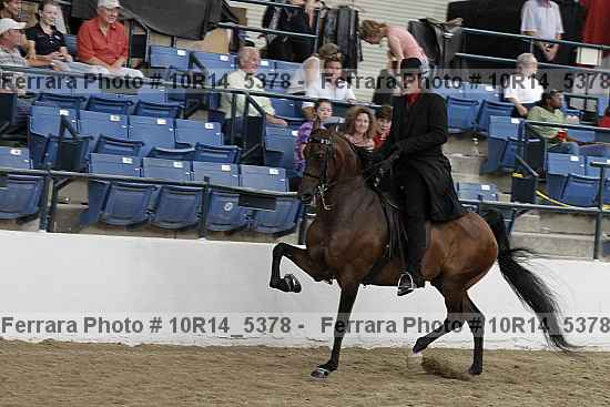 Proof Number 10r14_5378