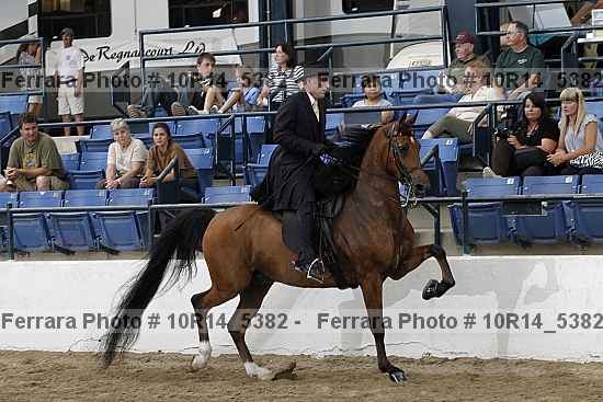 Proof Number 10r14_5382