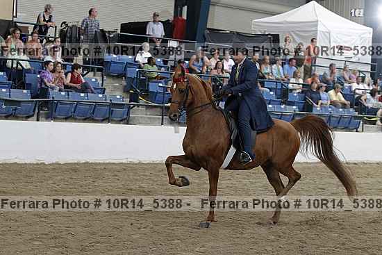 Proof Number 10r14_5388