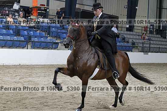 Proof Number 10r14_5390