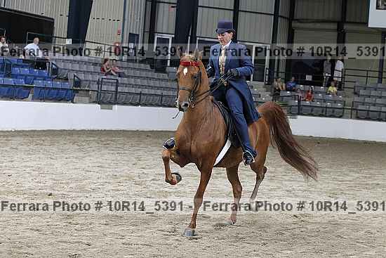 Proof Number 10r14_5391