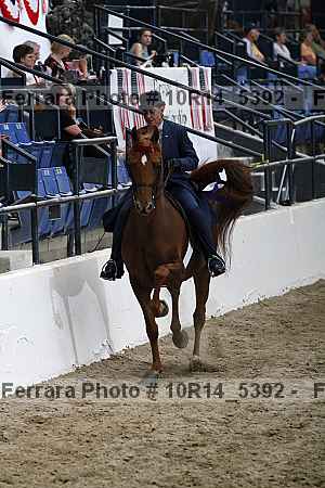 Proof Number 10r14_5392