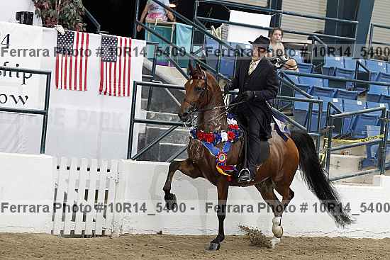 Proof Number 10r14_5400