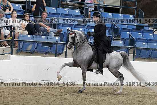 Proof Number 10r14_5436