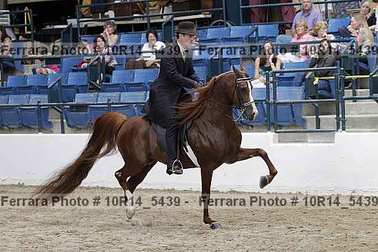 Proof Number 10r14_5439