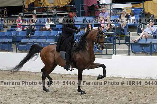 Proof Number 10r14_5440