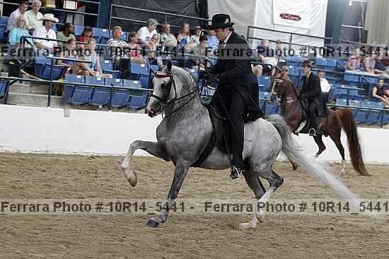 Proof Number 10r14_5441