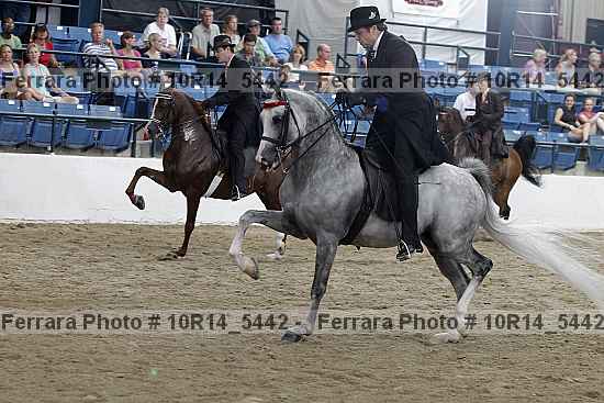 Proof Number 10r14_5442