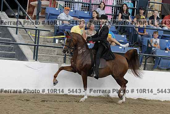 Proof Number 10r14_5443