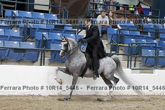 Proof Number 10r14_5446