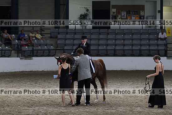 Proof Number 10r14_5455