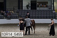 10r14_5455 thumbnail
