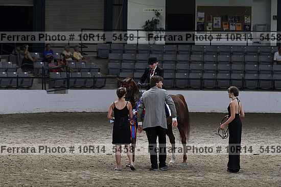 Proof Number 10r14_5458