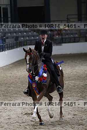 Proof Number 10r14_5461