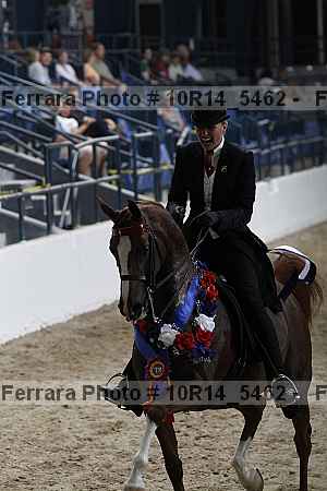 Proof Number 10r14_5462