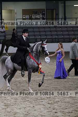 Proof Number 10r14_5463