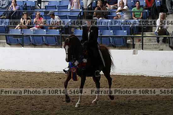 Proof Number 10r14_5464