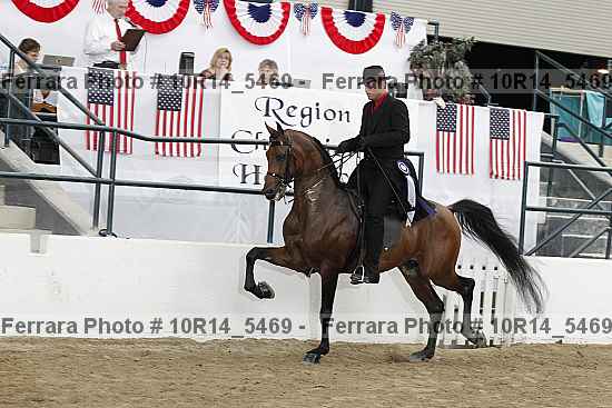 Proof Number 10r14_5469