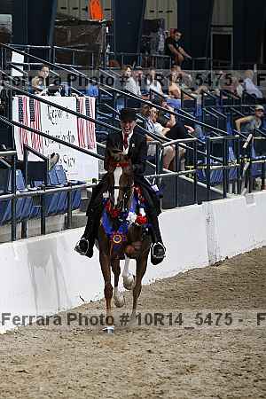 Proof Number 10r14_5475