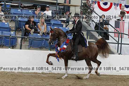 Proof Number 10r14_5478