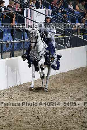 Proof Number 10r14_5485