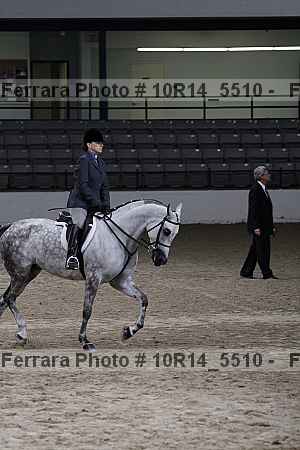 Proof Number 10r14_5510