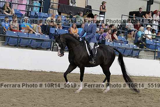 Proof Number 10r14_5519