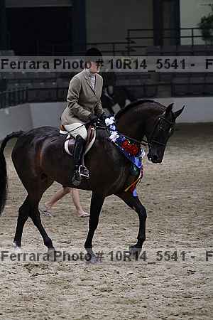Proof Number 10r14_5541