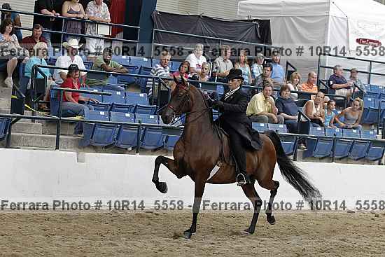 Proof Number 10r14_5558