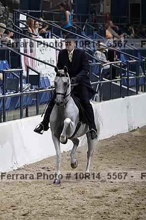 Proof Number 10r14_5567