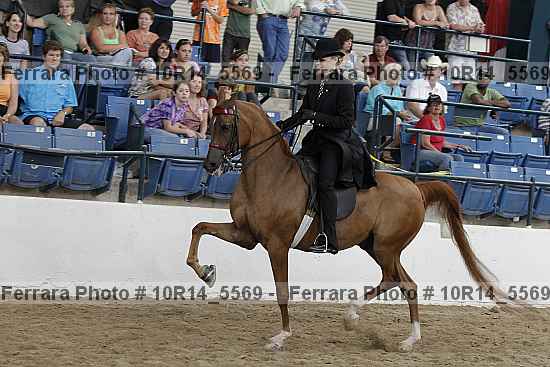 Proof Number 10r14_5569