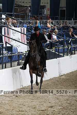 Proof Number 10r14_5570