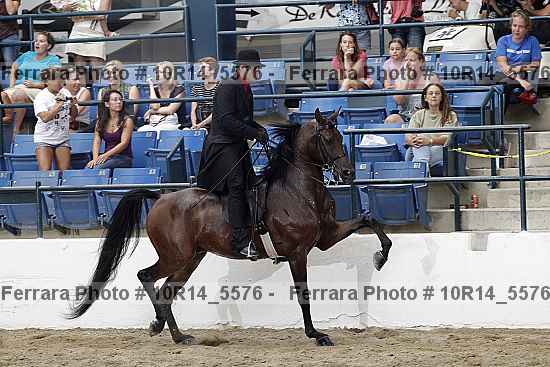 Proof Number 10r14_5576
